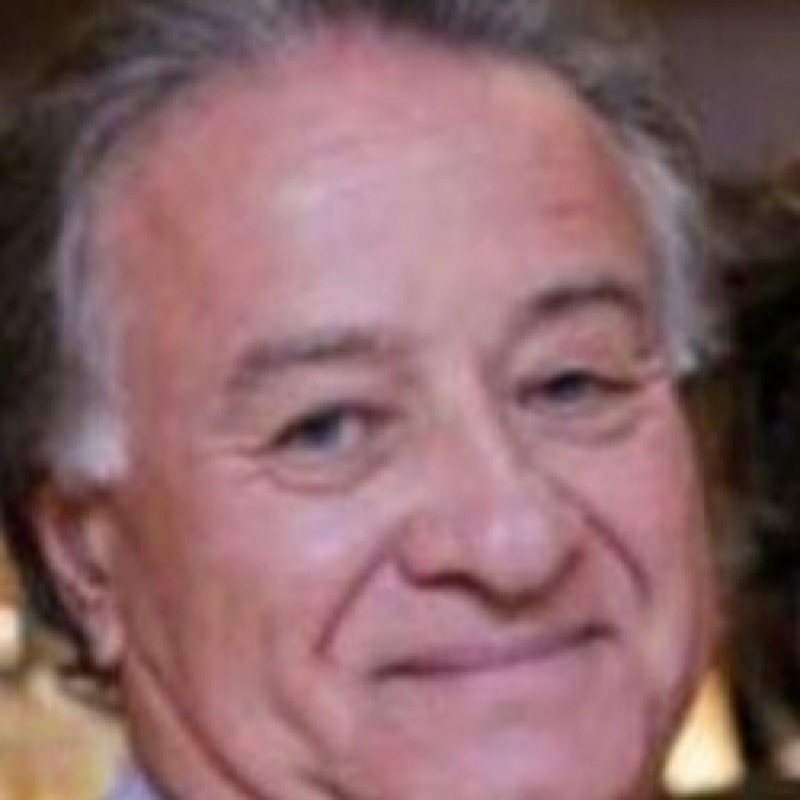 Hélio Fausto de Souza Júnior